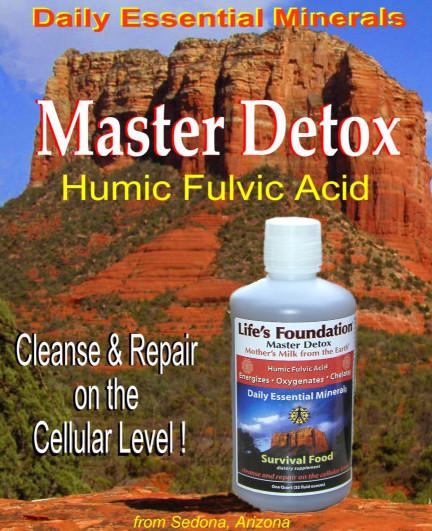 Master Detox for Health Care Providers